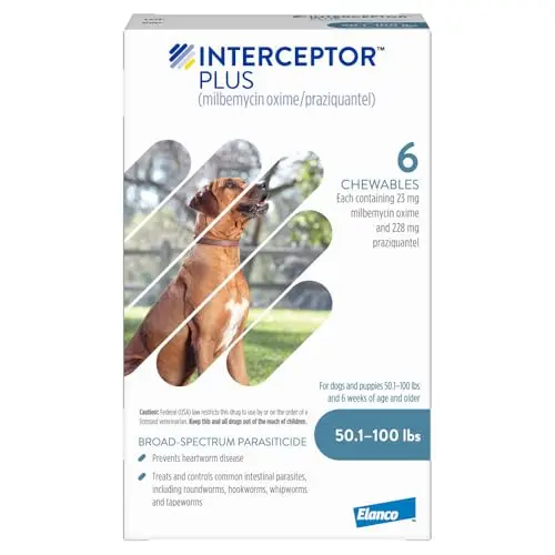 Interceptor Plus heartworm and worm prevention chewables for dogs