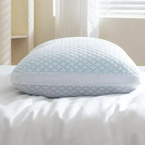 Lyralith Shredded Memory Foam Pillow with bamboo viscose cover
