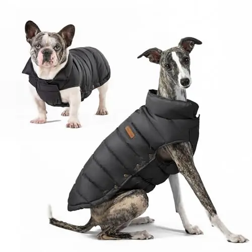 SPACE LION dog puffer jacket with duck down filling in black
