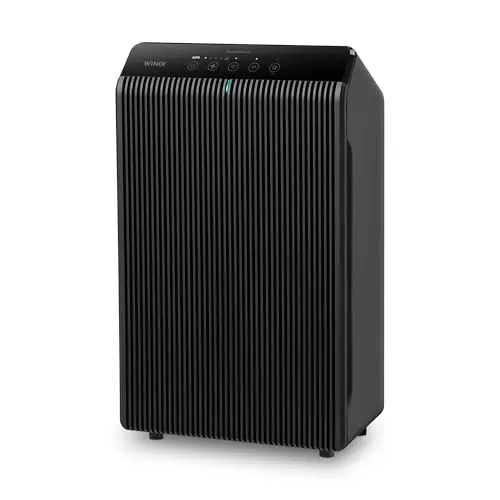 WINIX 5510 Air Purifier in polished charcoal gray