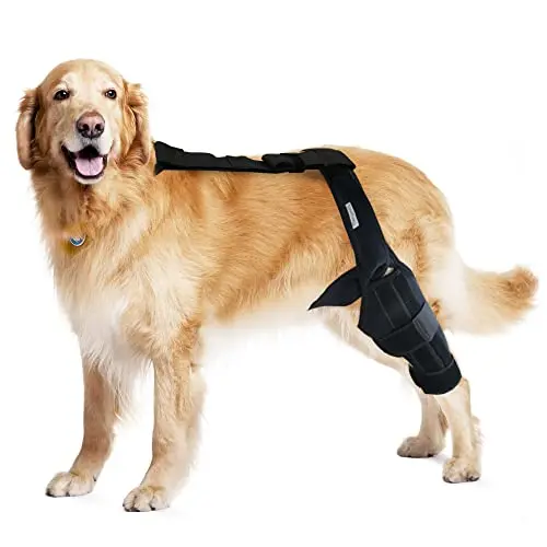 MerryMilo adjustable dog knee brace for ACL support