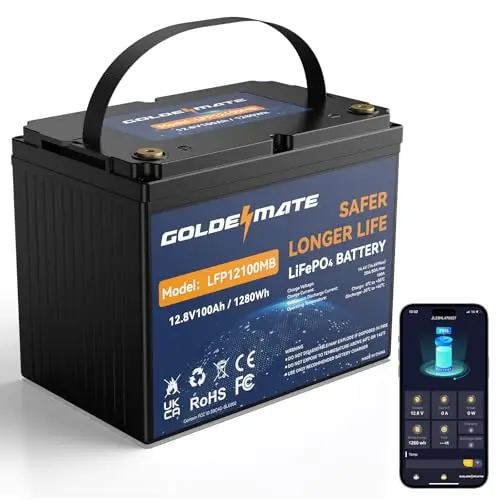 GOLDENMATE 12V 100Ah Group 24 Bluetooth battery
