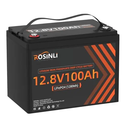ROSINLI 12V 100Ah Group 24 lithium battery