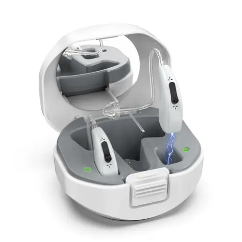 Lentorgi gray BTE hearing aids with multiple ear domes