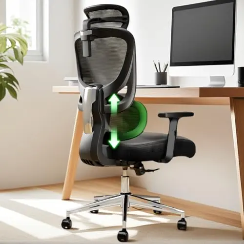 Marsail ergonomic office chair with mesh back and adjustable lumbar support in black