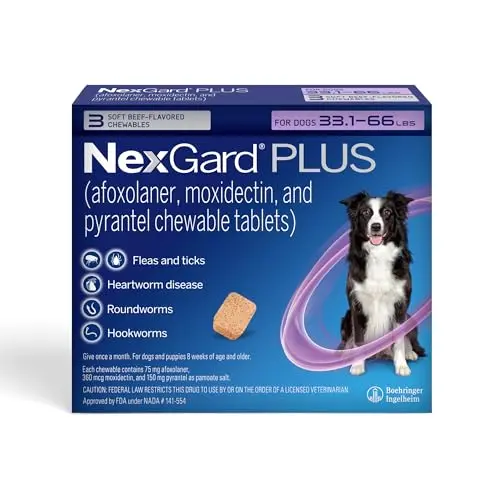 NexGard Plus flea, tick and heartworm prevention chewables for dogs