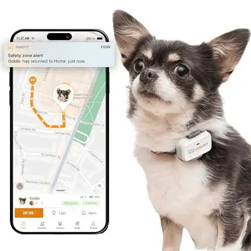 Pawfit Lite GPS tracker attached to a small dog collar