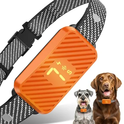 KJKZO orange dog bark collar on a small dog