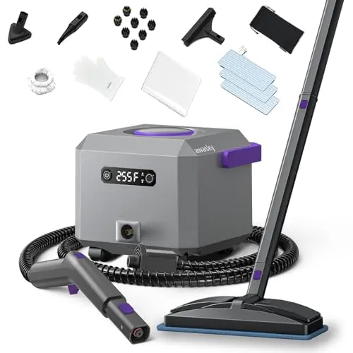AWASKY steam cleaner with detachable hose and accessories