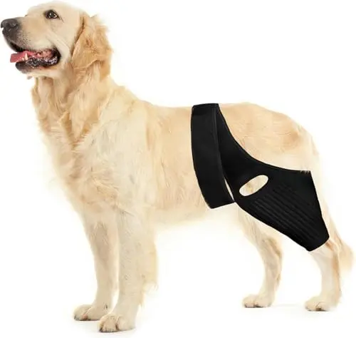 Huimpet affordable dog knee brace for ACL tears